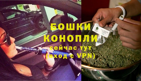 трава Армянск