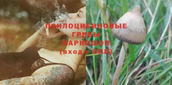 синтетический гашиш Ступино