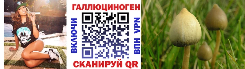 Псилоцибиновые грибы GOLDEN TEACHER Калачинск